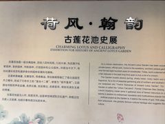 -莲池书院博物馆