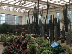 -石家庄市植物园
