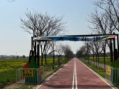 -西京湾花海