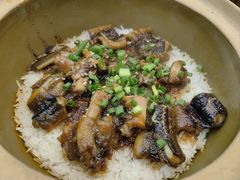 -红星光发煲仔饭(文海店)