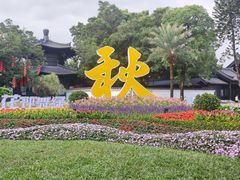 -荔湾湖公园