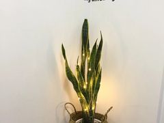 -悠悦MASSAGE&SPA(恒大广场店)