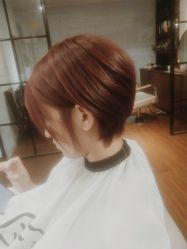 -艾嘉形象