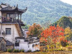 -塔川景区