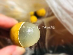 泰国龙眼-百果园PAGODA(庆春东路店)