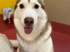 -和它·交个朋友·狗咖猫咖(爱琴海店)