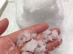 -Mr·Kuma酷么先生雪之乐园