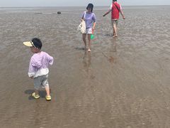 -南汇嘴观海公园