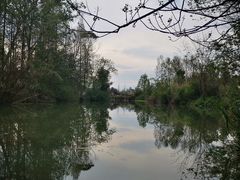 -桤木河湿地公园