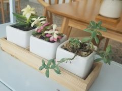 -苗祖咖啡(洛克时代中心店)