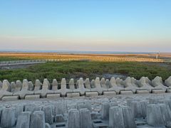 -南汇嘴观海公园