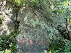 -王顺山国家森林公园