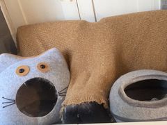-Anne猫窝咖啡屋