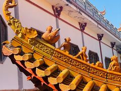 -深圳仙湖植物园
