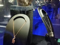 -湖南省地质博物馆