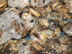 鲍鱼-钱库里海鲜自助(星海广场店)