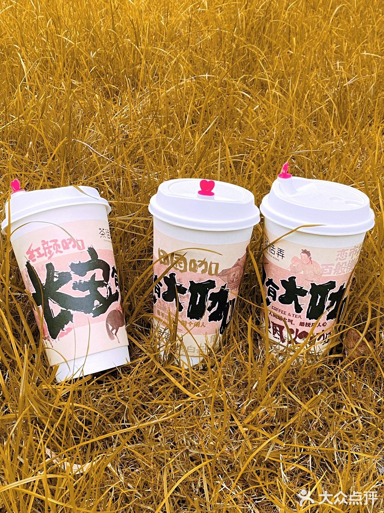 无由持一碗 寄与爱茶人