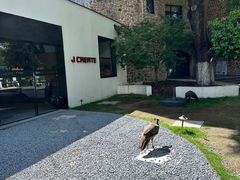 -J Create城市露营咖啡·简餐·宠物(上海动物园店)