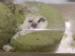 -红宝石·鲜奶小方·海派西点房(南丹店)