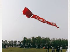 -春花秋色城市公园