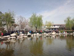 -西安青龙寺遗址景区