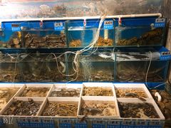 水产区-77号·蒸海鲜青岛菜(积米崖店)