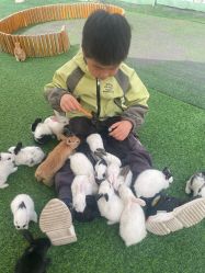 -萌宠亲子动物乐园(槐房万达店)