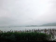 -湖畔居茶楼(湖滨店)