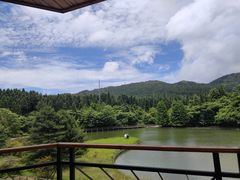 -武陵山森林公园