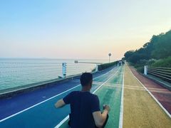 -贡湖湾湿地公园
