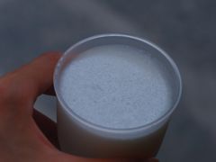 -洪馨椰子