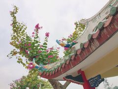 -龙舟池