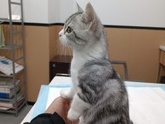 -贝利宠物医院·骨科·眼科·肿瘤转诊中心(南坪诊疗中心)