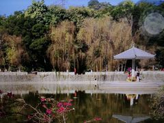 -攀枝花公园