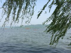 -闻莺馆(柳浪闻莺店)