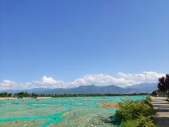 -洨河生态公园