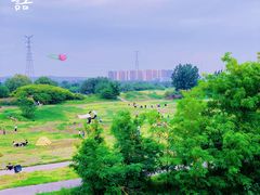 -渭河城市绿地运动公园