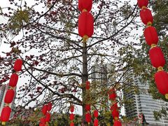 -东风公园