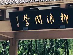 -柳浪闻莺公园