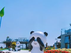 -空港花田景区