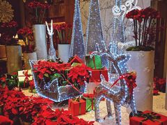 -广州粤海喜来登酒店