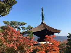 -常寂光寺