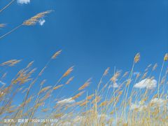 -野鸭湖国家湿地公园