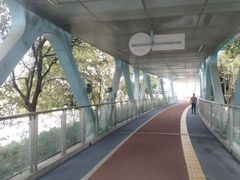 -文华公园(禅城区)