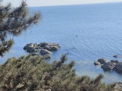 -养马岛旅游度假区