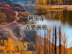 -Catail前苑(前门大街店)