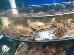-蓝珊甄选海鲜自助·火锅大排档(近阿那亚店)