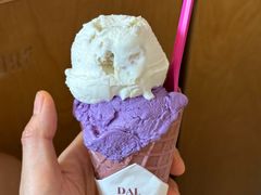 -Dal Cuore 达可芮冰淇淋(陕西北路店)