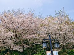 -苏州上方山国家森林公园