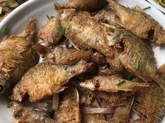 -长廊好灶头 本地人农家菜(枫泾古镇店)